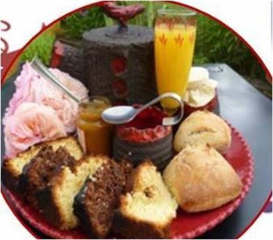 Le Nid Perche Bed & Breakfast Saint-Sauveur-en-Puisaye Dış mekan fotoğraf